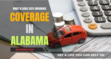 Alabama Auto Insurance: Understanding the Basic Coverage Requirements