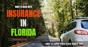 Florida Auto Insurance Basics: What You Need to Know