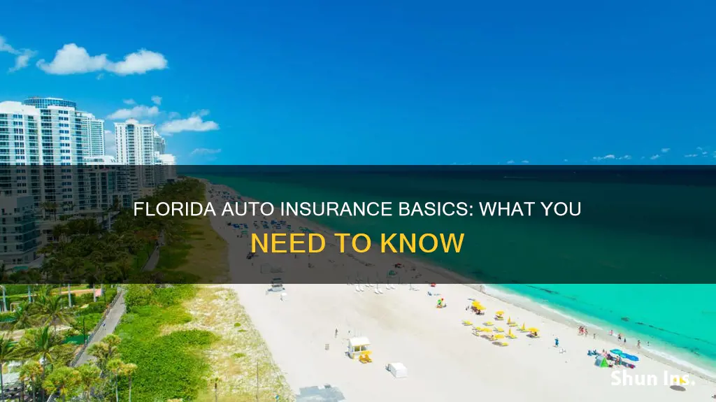 what is basic auto insurance in Florida