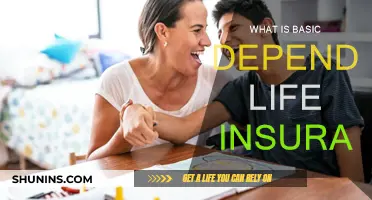 Understanding Basic Dependent Life Insurance: What You Need to Know