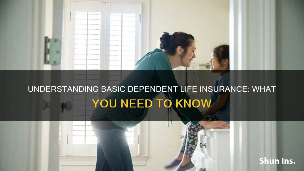 what is basic dependent life insurance