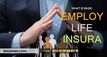 Employee Life Insurance Basics: What You Need to Know