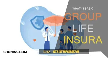 Group Life Insurance Basics: What You Need to Know