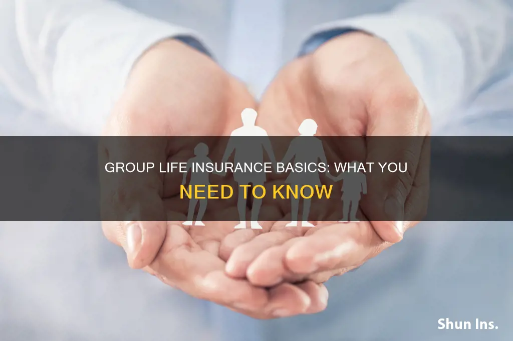 what is basic group life insurance