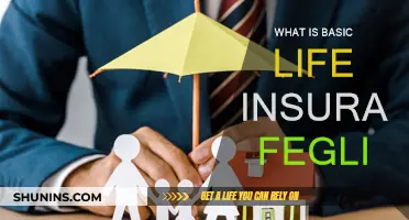 Understanding FEGLI: Your Guide to Basic Life Insurance