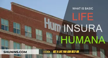 Humana's Basic Life Insurance: What You Need to Know