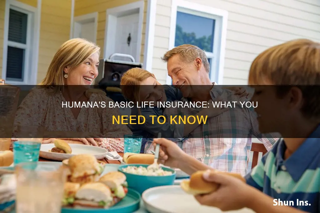 what is basic life insurance humana