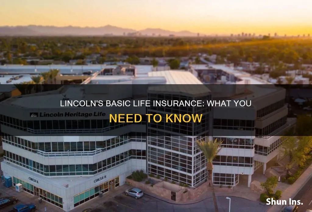 what is basic life insurance lincoln