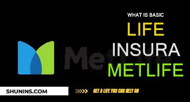 Life Insurance Basics: MetLife's Essential Guide