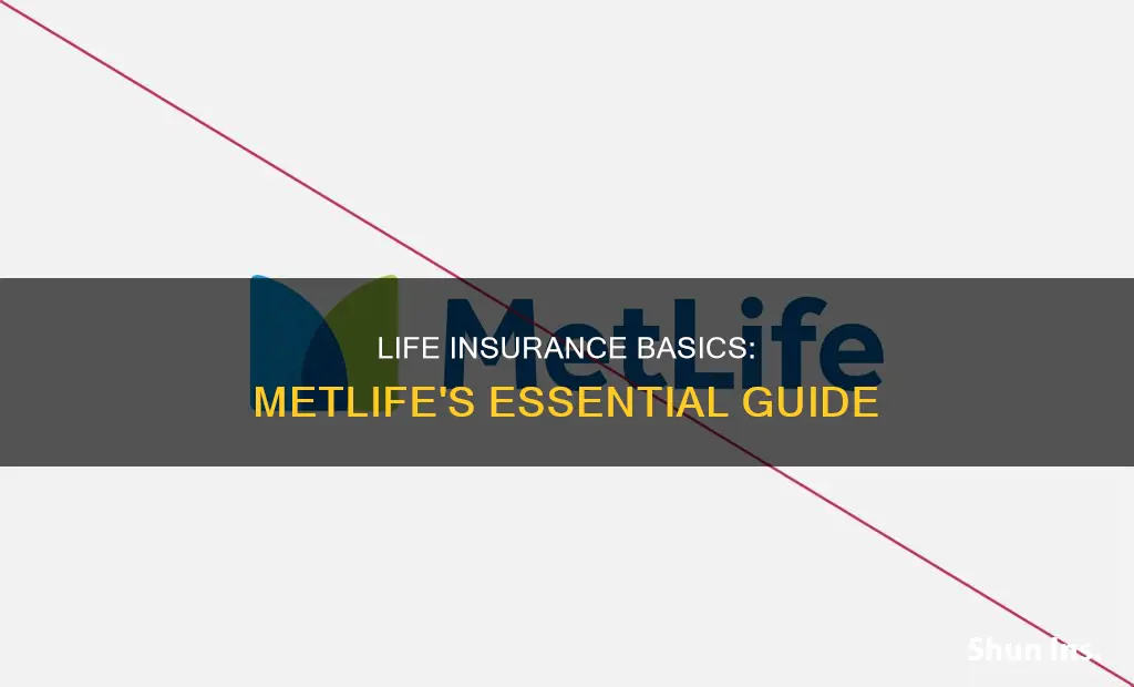 what is basic life insurance metlife