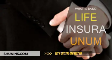 Life Insurance Basics: Unum's Essential Coverage Explained