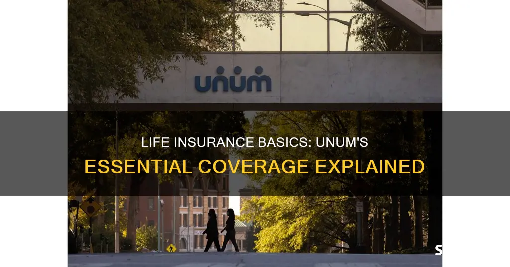 what is basic life insurance unum