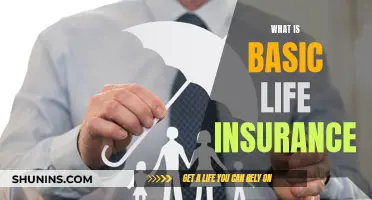 Life Insurance 101: Understanding the Basics of Coverage