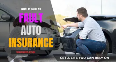 Auto Insurance Basics: Understanding No-Fault Coverage