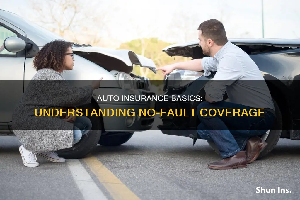 what is basic no fault auto insurance