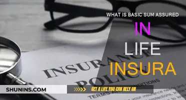 Understanding Basic Sum Assured in Life Insurance Policies