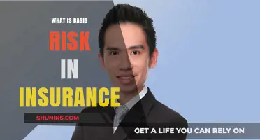 Understanding Basis Risk: Insurance Policy Gaps