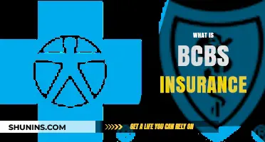Understanding BCBS: Your Insurance Companion