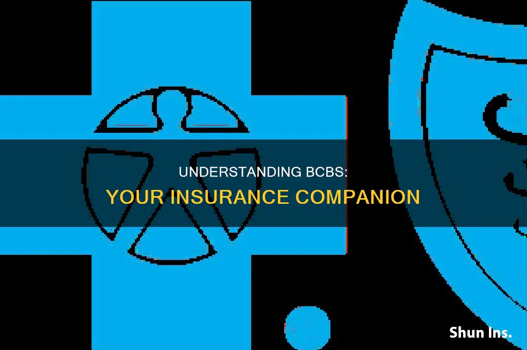 what is bcbs insurance