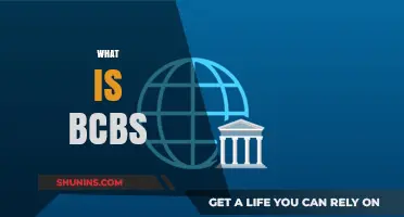 Understanding BCBS: Global Banking Standards and Regulations