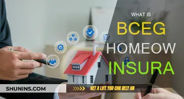 BCEG Homeowners Insurance: What You Need to Know