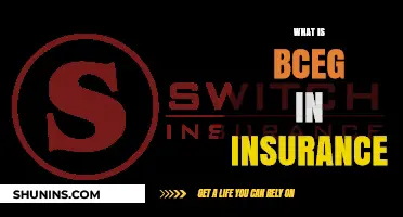 Understanding BC/EG in Insurance: A Comprehensive Guide for Policyholders