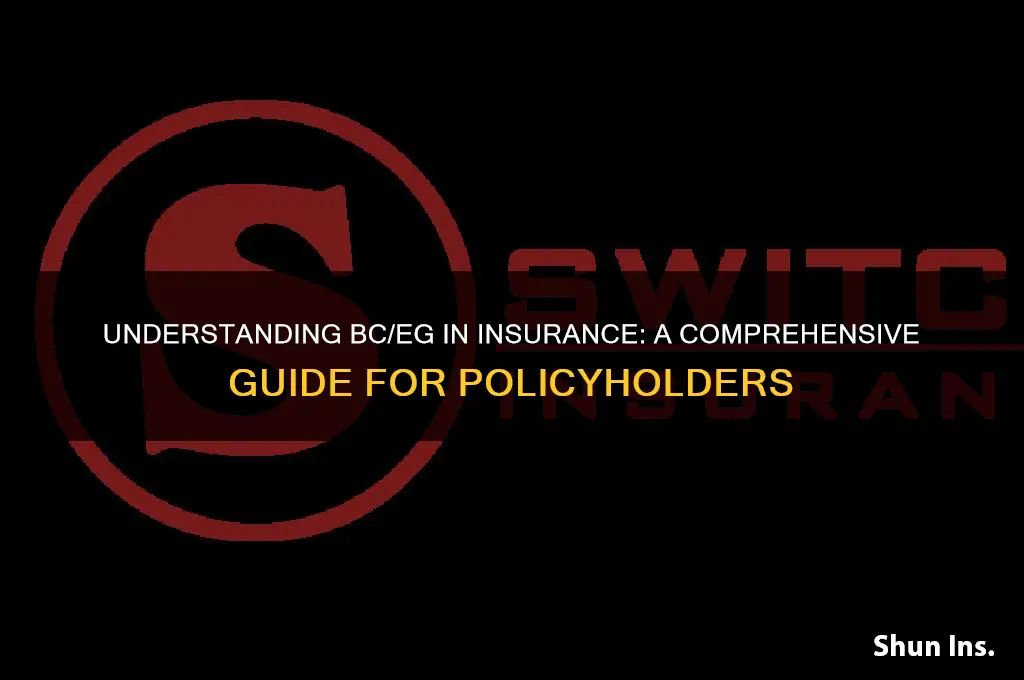 what is bceg in insurance