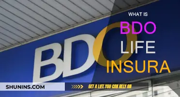 BDO Life Insurance: What You Need to Know