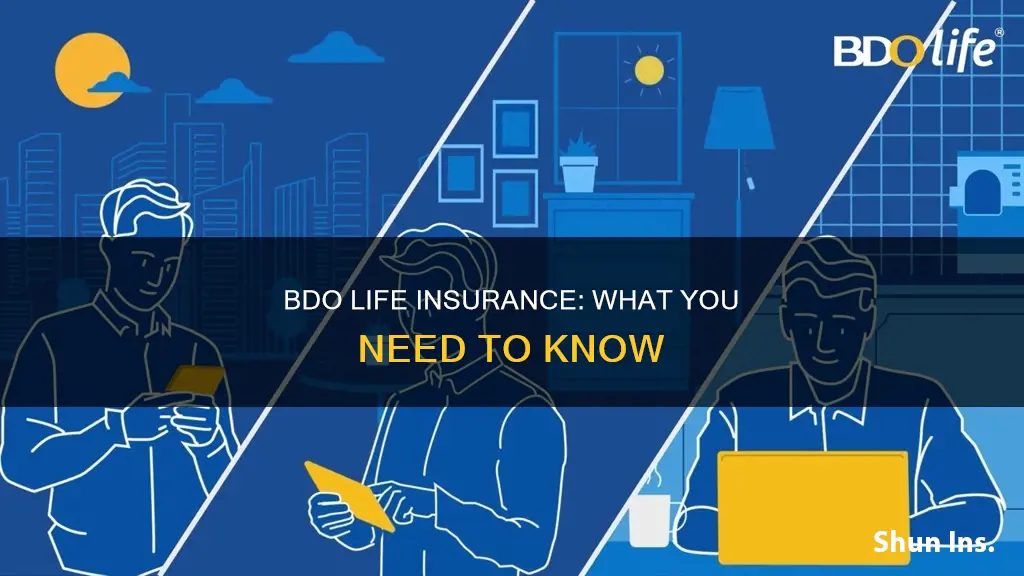 what is bdo life insurance