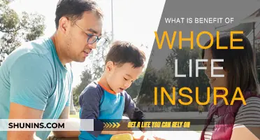 Whole Life Insurance: Benefits and Security for Life