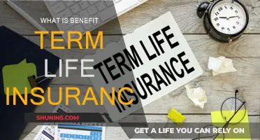 Benefit Term Life Insurance: What's the Deal?