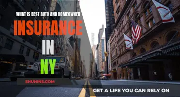 Best Auto and Homeowner Insurance in New York State