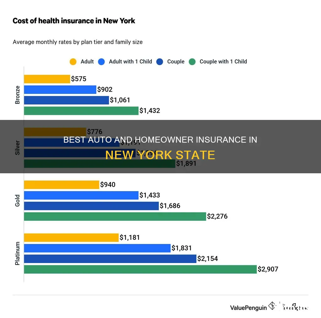 what is best auto and homeowner insurance in ny