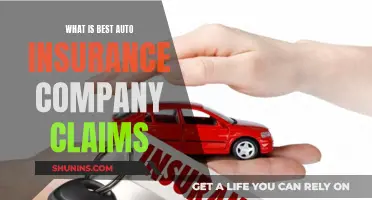 Best Auto Insurance Claims: Top Companies Compared