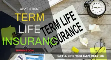 Best Term Life Insurance: How to Choose the Right Policy