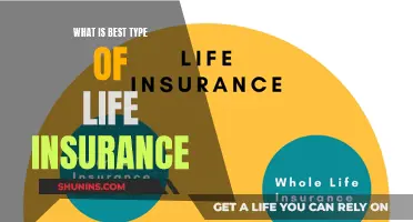 Best Life Insurance: Choosing the Right Type for You