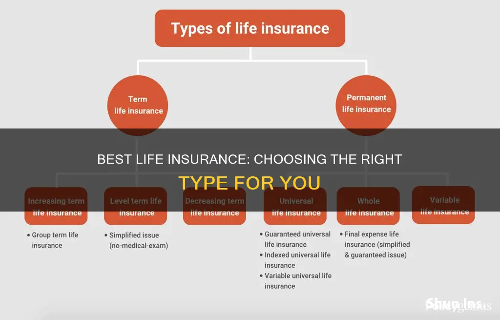 what is best type of life insurance