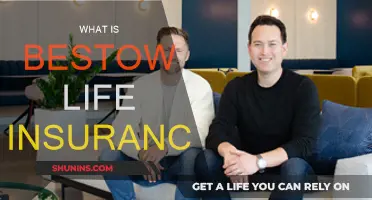 Bestow Life Insurance: An Easy, Affordable Option