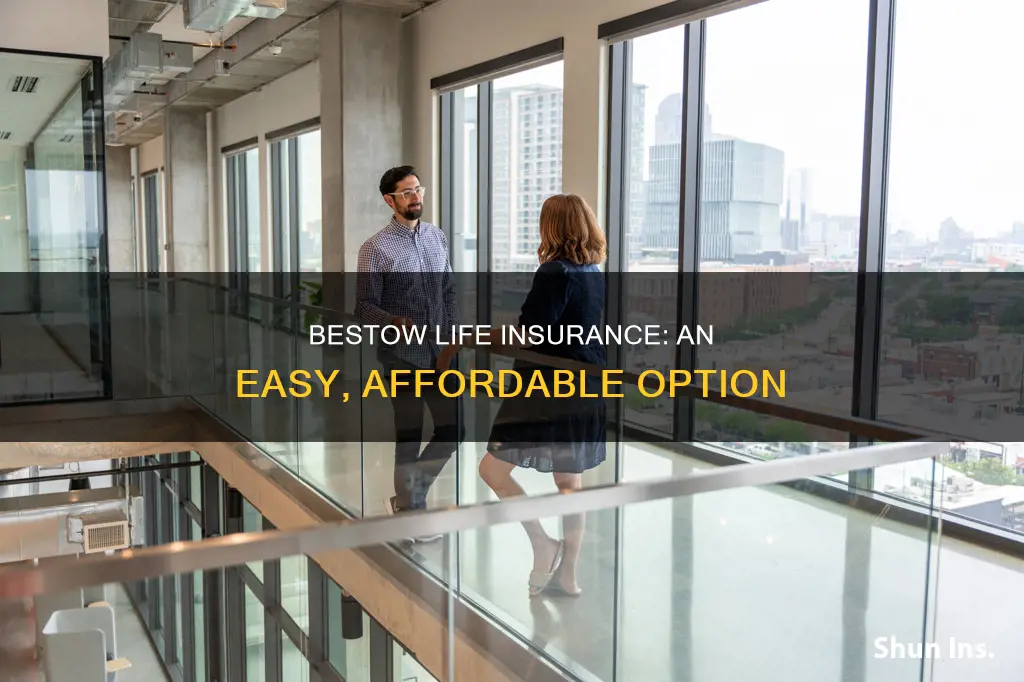 what is bestow life insurance