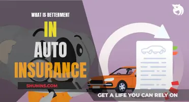 Betterment in Auto Insurance: Understanding the Fundamentals