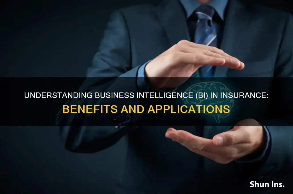 what is bi in insurance