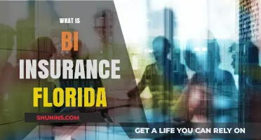 Understanding BI Insurance in Florida: What You Need to Know