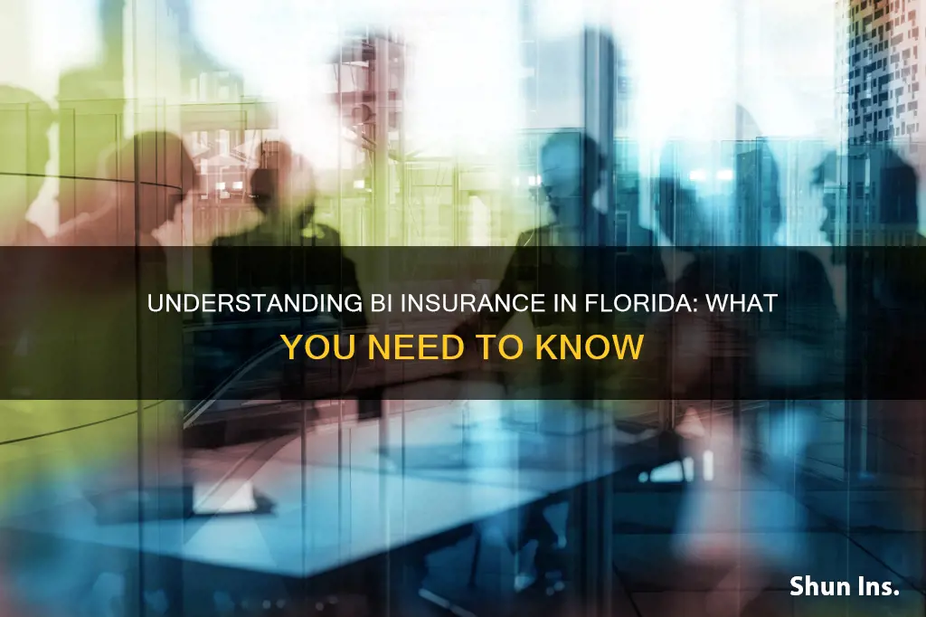 what is bi insurance florida