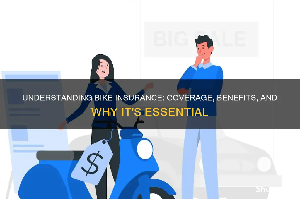 what is bike insurance