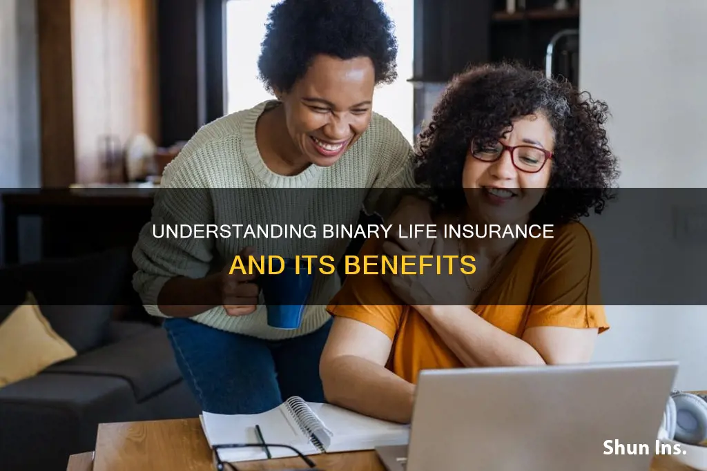 what is binary life insurance