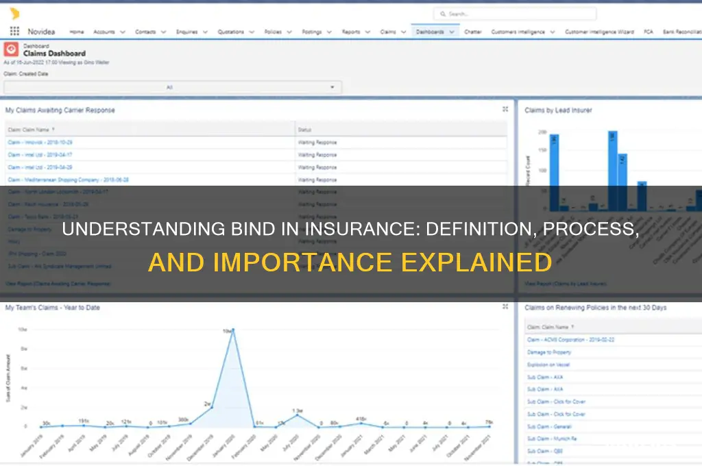 what is bind in insurance