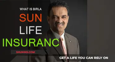 Birla Sun Life Insurance: Comprehensive Coverage, Peace of Mind