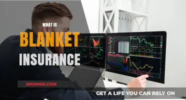 Understanding Blanket Insurance: Comprehensive Coverage for Multiple Assets Explained