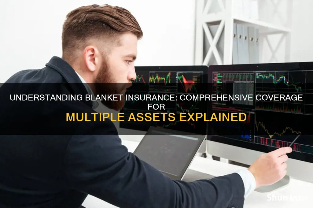 what is blanket insurance