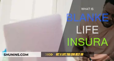 The Ultimate Guide to Understanding Blanket Life Insurance